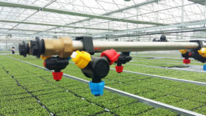 CHOYUEH système d'irrigation pour serre à faible coût <span class=keywords><strong>agricole</strong></span> avec rampe - Product Image 2