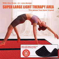 OEM Logo Personnalisé LED Couverture de Spa de Lit à Distance Sac de Couchage 660nm 850nm Thérapie par la Lumière Infrarouge Rouge Équipement de Beauté à Usage Domestique