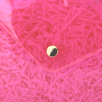 Sac en plastique à bouton pression, transparent, coloré, pochette souple en EVA