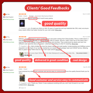 2025 New Design the Land Dweller <strong>Watch</strong> Stainless Steel Japanese Movement Men <strong>Watches</strong> - Product Image 4