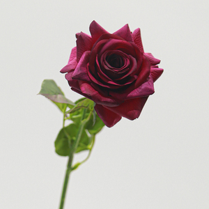 Vente en gros usine – Fleurs artificielles roses à branche unique, <span class=keywords><strong>grand</strong></span> format, toucher réel, faites à la main, pour mariage, Noël, Saint-Valentin, fête, jardin - Product Image 2