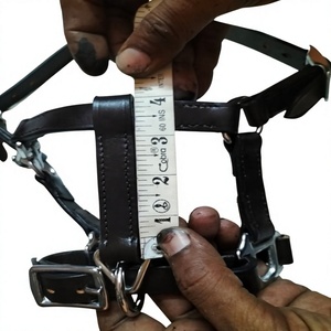 Cabestro para caballo de cuero genuino de alta calidad, nuevo, duradero, con hebilla metálica ajustable, costuras detalladas, disponible en todos los tamaños. - Product Image 3