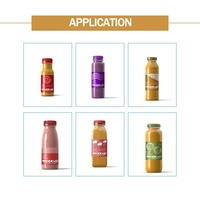 Shean Juice 12-12-4Complete Fruit Sapverwerkingslijn /Sapproductielijn /Sapvulmachine