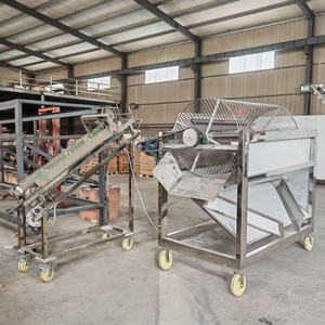 เครื่องแยกเปลือกฝักโกโก้สดอัตโนมัติ เครื่องกะเทาะเปลือกฝักโกโก้ - Product Image 5