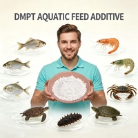 HS DMPT (CAS 4337-33-1) Attractant Alimentaire Aquatique en Poudre à 98% pour l'Induction et la Promotion de la Croissance des Poissons, des Crevettes et des Crabes
