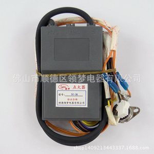 ตัวจุดไฟแบบพัลส์สำหรับเครื่องทำน้ำอุ่นแก๊ส Linghui รุ่น DK-15C-3B แบบยึดด้วยสกรู ขนาดมาตรฐาน - Product Image 4