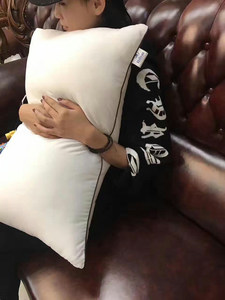 Lông trắng bông gối cho giường từ hilton khách sạn nhà cung cấp pengxuan tùy chỉnh Hilton gối với túi - Product Image 2