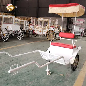 Wholesale Luxury two wheel leisure wagon cart/Factory Price 2 passengers Mini Sulky/horse wagon for backdrop decoration