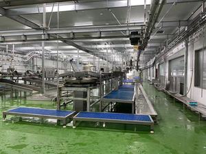 Unités complètes d'abattage de moutons, ensemble complet de machines de traitement d'abattoir, ligne d'abattage de chèvres, équipement complet pour la <span class=keywords><strong>viande</strong></span> - Product Image 6