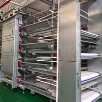 Cage à poules automatique de type H avec système de collecte des excréments, équipement d'élevage avicole pour le marché africain