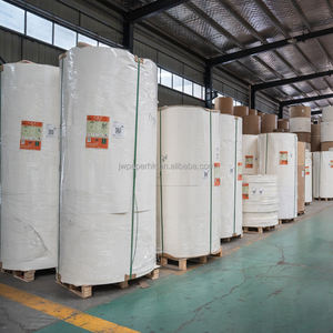 Rollo de Base para Vasos de Papel Desechables, Recubierto de PE, Ecológico, Hecho con Materiales Reciclados, Impermeable y Resistente a la Humedad, de una Sola Cara, al por Mayor - Product Image 6