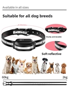 Intelligentes Trainingshalsband für Haustiere mit Fernbedienung, Anti-Bell-Funktion, Wasserdicht, Haustierfreundlich, Hundetrainingsprodukte im Großhandel