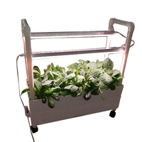 Système hydroponique plantes verticales support jardinière étagère pots de fleurs supports avec Led élèvent la lumière