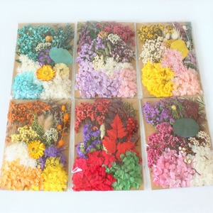 Fleurs et feuillage séchés, hortensias et gypsophile préservés pour la fabrication de bougies, la fabrication de savons et le nail art - Product Image 4