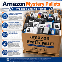 Palette mystère en gros : Électronique, consoles de jeu, moniteurs, chargeurs sans fil testés – Stock mixte pour distributeurs