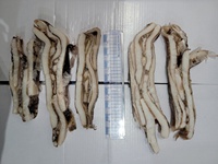Pemasok Irisan Cumi-cumi Raksasa Beku Irisan Cumi-cumi Beku Potongan Berkualitas Tinggi Produsen Irisan Cumi-cumi Dosidigus Gigas