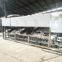 YOUBAN Commerciële Weegscheidsmachine voor het sorteren van fruit en groenten, geschikt voor het sorteren van aardappelen, uien, mango's en aardbeien.