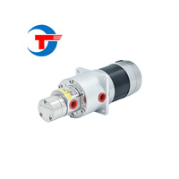 Magnetische aandrijving tandwielpomp vierkante dosering 0,3ml/omwenteling 57 borstelloze DC 3,5L/min fruitpuree vulling voedselveilig hygiënisch roestvrij staal