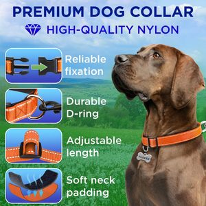 TECEUM Reflective <b>Dog</b> <b>Collar</b> Orange <b>Large</b> Premium Nylon Pet <b>Collar</b> With Quick Release Buckle For <b>Large</b> <b>Dogs</b> - Product Image 2