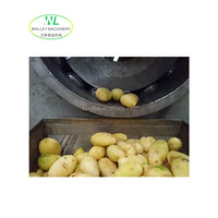 Industriële gemotoriseerde roestvrijstalen taro-aardappel-groente schil- en wasmachine voor commerciële fruit- en groenteverwerking