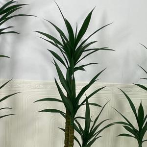 I731 <span class=keywords><strong>Agave</strong></span> Palmera Planta artificial Sisalhanf Planta Interior Oficina Entrada Decoraciones 180cm <span class=keywords><strong>Altura</strong></span> - Product Image 3