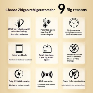 Refrigerador de Gran Capacidad para Uso Doméstico y Comercial, de Alta Eficiencia Energética, Congelación Rápida, Doble Uso, Horizontal, de <span class=keywords><strong>Segunda</strong></span> <span class=keywords><strong>Mano</strong></span> 1 - Product Image 3