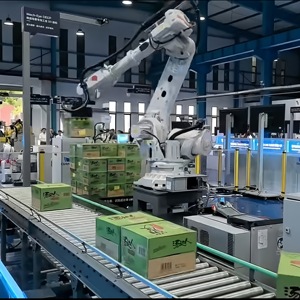 Robot de manutention avec une charge utile de 120 kg et un bras de 2403 mm, capable de superposer des boîtes en carton et des sacs - Product Image 2