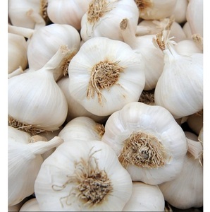 <b>Fresh</b> <b>Garlic</b> Premium Quality Natural Farm <b>Fresh</b> <b>Garlic</b> Bulbs Export Grade Cooking Spice Ingredient Wholesale Supply - Product Image 3