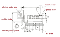 Presse à huile à vis 200-350 kg/h pour arachides, noisettes, noix de coco, sésame, soja, avocat, tournesol – Machine de pressage d'huile