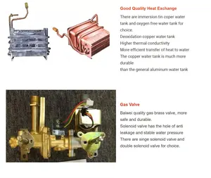 10L 12L 16L cina famoso domestico centrale istantanea temperatura costante NG gpl scaldabagno a Gas OEM ODM marchi