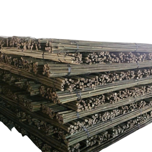 Petits piquets en bambou naturel pour le soutien des plantes de jardin et l'utilisation agricole Produit de matières premières en bambou - Product Image 2