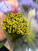 Fleurs préservées en gros, fruits coralliens, décoration d'intérieur, bouquet, fournitures de bricolage et d'arrangement de mariage
