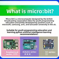 Kit de Aprendizaje de Robótica con Microbit, Placa de Desarrollo, Controlador, Programación en Python, V2.2 Educativo