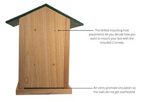 Moderne Grote Zuignappen Hangende Lanyard Touw Spionage Raam Vogel Nestkast Buiten Nestkasten Hout Vogel Kooien Vogelhuisje - Product Image 3
