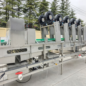 Oliva Manzana Piña Naranja Zanahoria Máquina de procesamiento de lavado de frutas y verduras - Product Image 4