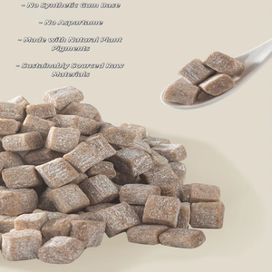 Gommes à mâcher au xylitol <span class=keywords><strong>sans</strong></span> <span class=keywords><strong>sucre</strong></span>, reminéralisantes, pour le nettoyage buccal et la réparation de l'émail |   Emballage personnalisé OEM - Product Image 6