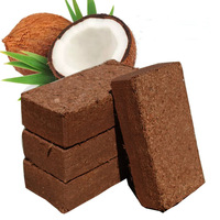 Briques de fibre de coco compressée, substrat en fibres de coco, tourbe de coco, support de culture pour terreau de potager et herbes aromatiques
