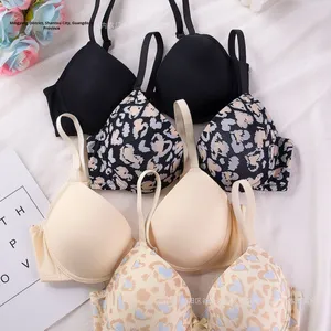 Soutien-gorge push-up sexy imprimé léopard à fleurs européennes et américaines pour <span class=keywords><strong>Amazon</strong></span> Xiyin Meilleure vente Contrôle ferme <span class=keywords><strong>Sous</strong></span>-vêtements pour femmes - Product Image 1