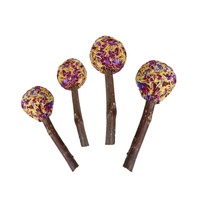 Friandises pour lapin molaire sucette pétale molaire boule d'herbe cochon d'Inde branche de pomme molaire bâton produits mâcher pour les lapins