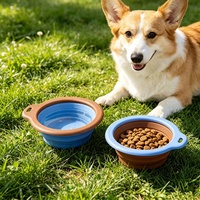 Nouveau modèle – Bol portable et pliable en silicone de qualité alimentaire, personnalisable, pour boire et manger en extérieur (vente en gros)