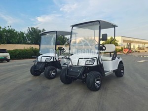 Voiturette de golf de luxe avec sièges haut de gamme et auvent résistant aux intempéries |   Prix Direct d'Usine - Product Image 5