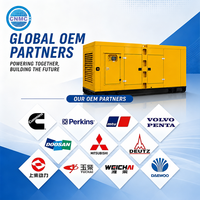 Groupe électrogène diesel Weichai Baudouin certifié EPA de 50 kW à 1000 kW pour l'alimentation de secours des centres de données, conteneur silencieux