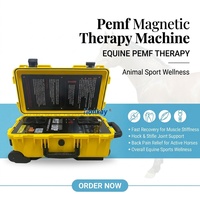 Appareil de massage par magnétothérapie PEMF, rééducation vétérinaire, machine PEMF pour soulager la douleur, thérapie musculaire et prévention des blessures