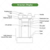 Presse à froid hydraulique industrielle pour l'extraction d'huile de sésame, de noix de coco, d'olive, d'avocat, en acier inoxydable, capacité de 200 kg/h