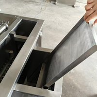 Automatische belletjeswasmachine voor groenten, fruit, vis, voedselverwerking en reinigingsapparatuur
