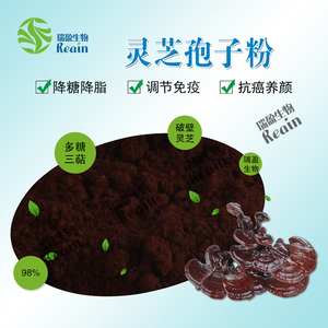 ผง30% โพลีแซคคาไรด์50% 40% ผงสกัดจากเห็ดหลินจือออร์แกนิกแท้100% บรรจุในถัง - Product Image 5