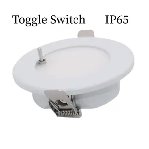 IP65 Waterproof 12v 24v Toggle switch Led ceiling down light red color for helm station Boat lights