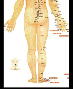 Cartes d'<span class=keywords><strong>acupuncture</strong></span> médicale chinoise claires, points, corps humain, carte des méridiens des points d'<span class=keywords><strong>acupuncture</strong></span> - Product Image 6