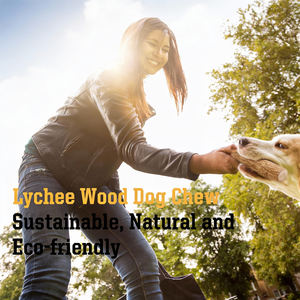 AFP Yeni Gelen Antibakteriyel Köpek Litchi Ağacı Çiğneme Oyuncağı Çevre Dostu Evcil Hayvan Köpek Çiğneme Çubuğu Oyuncağı Diş Sağlığı İçin Plak Azaltıcı - Product Image 4