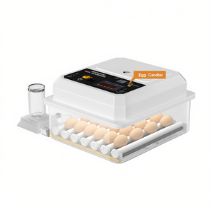 Incubateur automatique d'œufs de 36 places avec contrôle de la température pour l'éclosion des œufs de poulet, de caille et de canard, incluant un ovoscope - Product Image 1